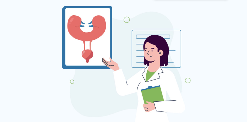 Подковообразная почка