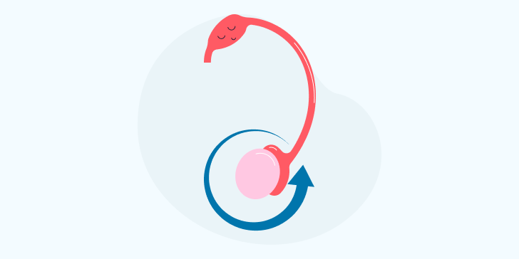 Перекрут яичка