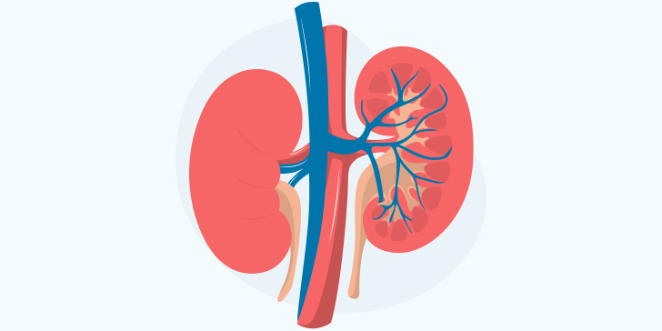 Тубулоинтерстициальный нефрит