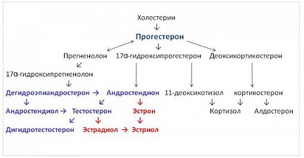 Что относится к жирной пище