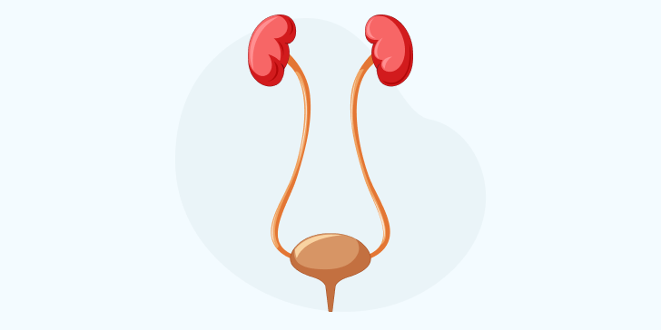 Мочекислый диатез