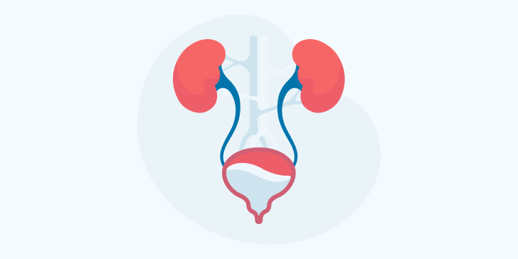 Мегауретер