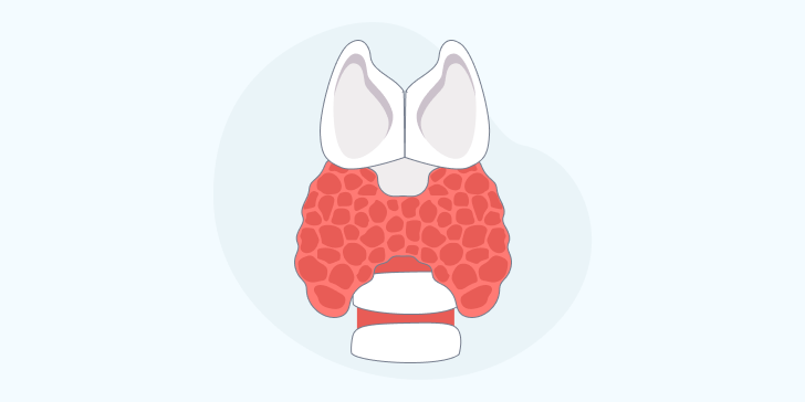 Гипотиреоз у детей