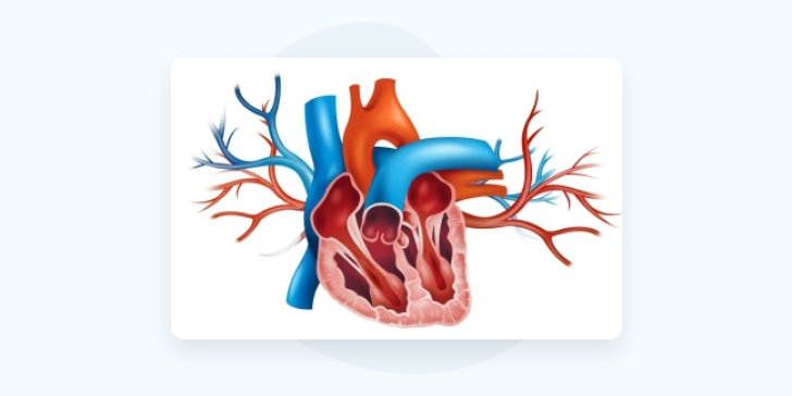 Гипертрофия миокарда