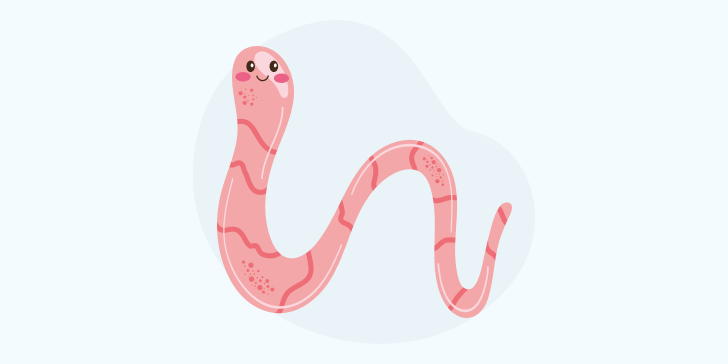 Энтеробиоз у детей