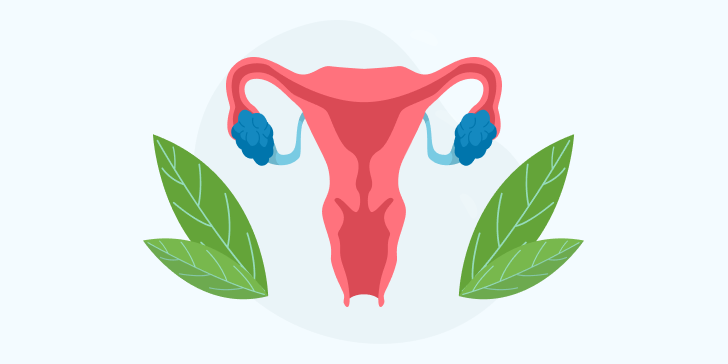 Ректовагинальный свищ