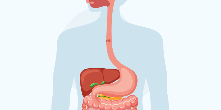 Полип пищевода